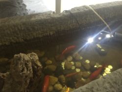 -戛纳印象摄影(潮拍定制馆)