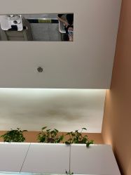 -希梵尔头皮抗衰·科技养发