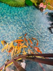 -酷嗒动物文化乐园(cutezoo西溪乐天城店)