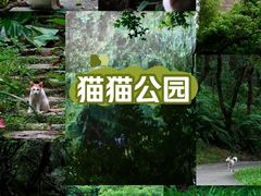 -燕晗山郊野公园