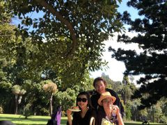 -墨尔本皇家植物园