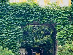 -藏龙百瀑风景区