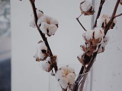 -那家面包房(珠江路店)