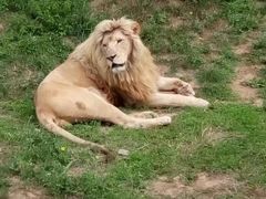 -石家庄市动物园