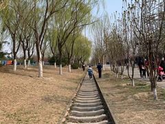 -永定河休闲森林公园