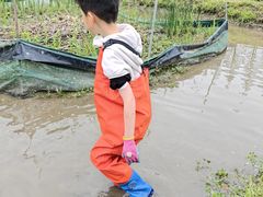 -前小桔亲子创意农场·草莓采摘·露营烧烤