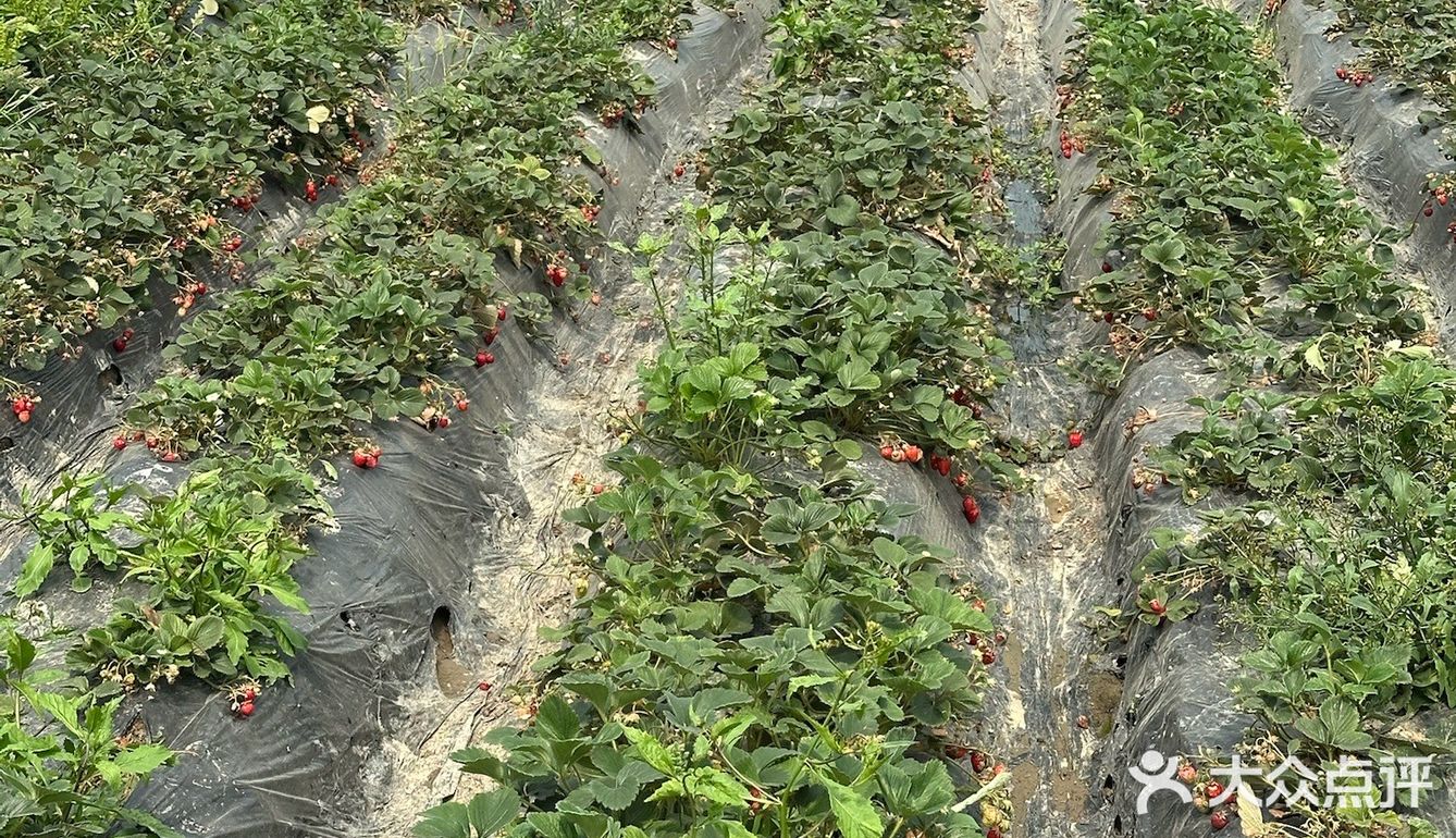 不愧是藏在山里的团建好去处啊[OK]