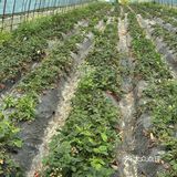 不愧是藏在山里的团建好去处啊[OK]