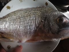 -浦商菜市场·锦德店