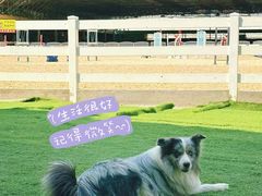-名驭国际马术学院