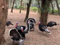 -漳州滨海火山岛自然生态风景区