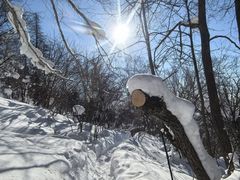 -雪谷