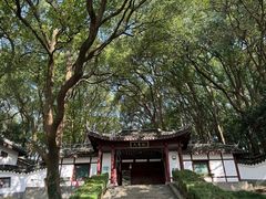 -上海佘山国家森林公园天马山园