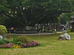 -墨池公园