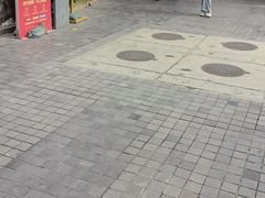 -静园(和平区)