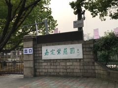 -嘉定紫藤园
