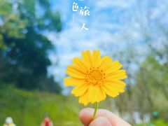 -广州市帽峰山景区