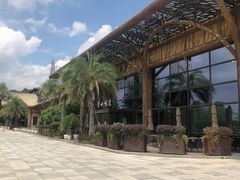 -杭州开元森泊度假乐园