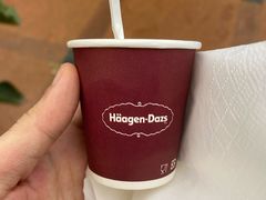 -哈根达斯(天河城店)