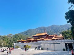 -深圳仙湖植物园