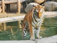 -泉州海丝野生动物世界