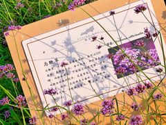-西京湾花海