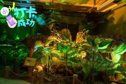 -恐龙探索乐园(磁器口店)