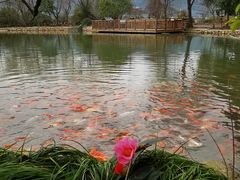 -杭州六谷生态休闲农庄有限公司