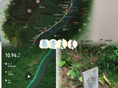 -羚羊峡古栈道森林公园