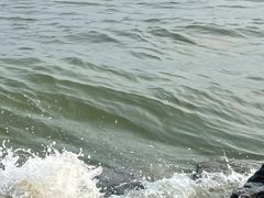 -苏州金鸡湖大酒店