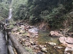 -九龙江国家森林公园