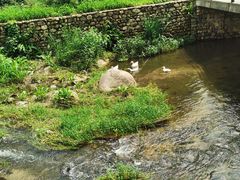 -北京水岸山吧度假村(雁栖镇店)