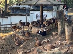 -昆明动物园