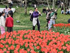 -苏州上方山国家森林公园
