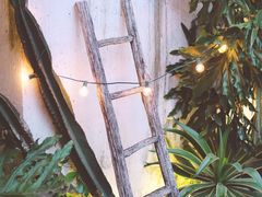 -云里小坐·小院里·团建·宴请·下午茶(三圣乡店)