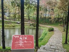 -武汉园博园(武汉自然博物馆)