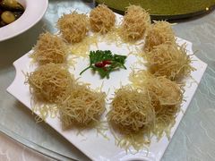 -丁老爷子苏香圆