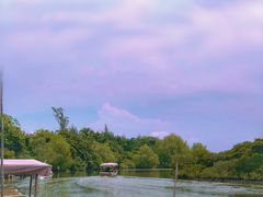 -东寨港红树林旅游区