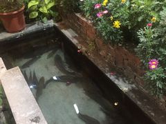-马帮菜馆·美味野生菌