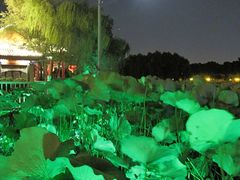 IMG_7241-小王府(什刹海店)