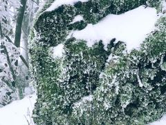 -张家界天门山国家森林公园