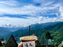 -达瓦更扎