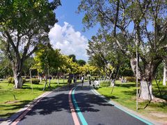 -琅岐红光湖公园
