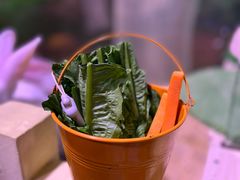 -正佳雨林生态植物园