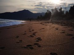 -西涌国际滨海旅游区