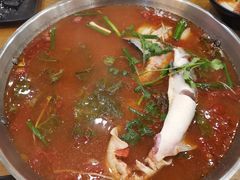 -新凯里酸汤鱼(飞山街店)