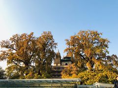 -北京石刻艺术博物馆(五塔寺)