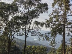 -广州市帽峰山景区