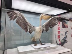 -浙江自然博物院(杭州馆)