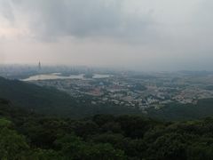 -紫金山山顶公园